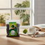 Panash Food Green Tea - 100 gm image