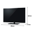 Panasonic 39 Inch LED Television - TH-39B6X image