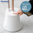 Panasonic NI-GSG060 Garment Steamer with Wide Steam Head image