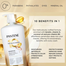 Pantene Pro-V 10 The Multi Tasker Conditioner 1.13L image