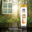 Parachute Naturale Shampoo Egg Shine 320ml - CO image