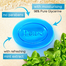 Pears Transparent Soap Pure and Gentle with Mint Extracts 125 gm image
