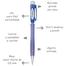 Pentel Fiesta Mechanical Pencil 0.5mm - Blue Barrel image