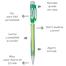 Pentel Fiesta Mechanical Pencil 0.5mm - Green Barrel image