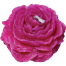 Peony Flower Sandalwood Fragrance Candle - Light Pink Color image