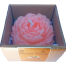 Peony Flower Scented Candle – Soft Light, Sweet Sandalwood Fragrance image