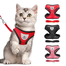 Pet Harnesses Cat Traction Lash Vest Cat Chest Lash Is Reflective At Night To Prevent Breaking Away From The Walking Cat Leash image