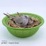 Plastic Bird Nest Bowl 1 Pc image