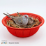 Plastic Bird Nest Bowl 1 Pc image