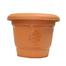 Mixed Color Plastic Planter Tub - 8 Inch 1 Pcs image