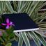 Pocket Series Black Notebook image
