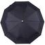 Sankar's Umbrella Auto Open 10 Ribs Black Colour (S-902) image