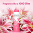 Pond's Dreamflower Talcum Powder (100gm) image
