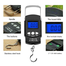 Portable Hanging Scale Accurate Weight Anywhere Anytime image