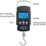 Portable Hanging Scale Accurate Weight Anywhere Anytime image