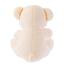 Premium 6423 Bear Heart Flower Soft Toy Random One 43cm image