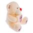 Premium 6423 Bear Heart Flower Soft Toy Random One 43cm image