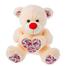 Premium 6423 Bear Heart Flower Soft Toy Random One 43cm image