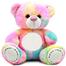 Dimpy Stuff Premium PP Rainbow Bear Soft Toy image