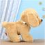 Premium Dog With Collar Soft Toy Random One- 22cm image