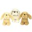 Premium Dog With Collar Soft Toy Random One- 22cm image