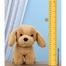 Premium Dog With Collar Soft Toy Random One- 22cm image