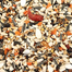 Premium Summer Seed mix Food for Cockatail and Parrot - 1KG image