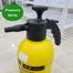 Pressure Spray for Plants- 3 Ltr image
