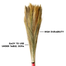Proclean Broom - 1 Pcs image