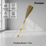 Proclean Broom - 1 Pcs image