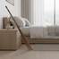 Proclean Broom (For Bed) - 1 Pcs image