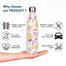 Proclean Forest Vibe Water Bottle ( SS Thermos) – 500 Ml image