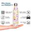 Proclean Forest Vibe Water Bottle ( SS Thermos) – 750 Ml image
