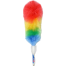 Proclean Plastic Feather Cleaning Duster image
