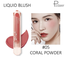 Pudaier Face Makeup Beauty Glazed Liquid Blush #05 image