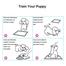 Puppy Dog Cat Indoor Toilet Training Pads Super Absorbent 60x60cm – 1Pcs image