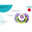 Pur Orthodontic Silicone Soother (6m ) image