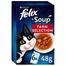Purina Felix Cat Soup Farm Selection in Jelly - 48gm - 6Pcs image