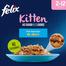 Purina Felix Pouch Kitten Mixed Selection in Jelly - 100gm - 12Pcs image