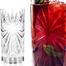 RCR Oasis Hi-Ball Tumbler 335ml 1 pcs image