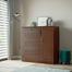 Regal Legacy Wood Wardrobe Antique image
