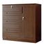 Regal Legacy Wood Wardrobe Antique image