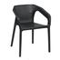 RFL Stylee Cafe Arm Chair - Black image
