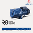 RFL Water Pump RSJ-10M 1x1 Inch - 1HP image