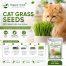 Organic Seeds Rabbit Cat Grass Foliage Plant Bonsai Seeds 2200Pcs image
