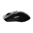 Rapoo VPRO Mini Dual-mode Gaming Mouse VT9PRO Black image