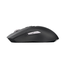 Rapoo VT9PRO Lightweight Dual Mode Wireless Gaming Mouse Black image