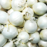 Rare White Onion Vegetable - 25 Pcs Seeds image
