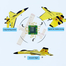 Rc Airplane Aircraft Model Fighter Jet Su 35 Toy Racing Rc Airplane Aircraft Model Glider Foam Air Plane Anti-fall Unbreakable Flying Rc Toy Su 35 Colour Not Specificed Radio Remote Control Airplane #fighter image