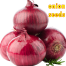 Red Hybrid Onion Seeds 1 gm Re-Pack image